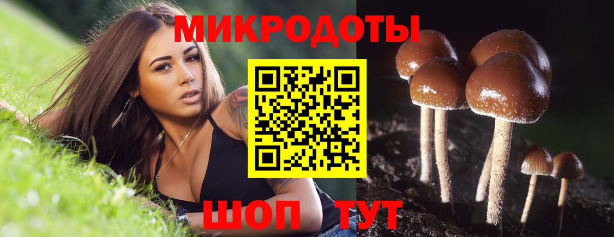 Сланцы  Псилоцибиновые грибы ЛСД  купить наркотик  Вход с VPN 