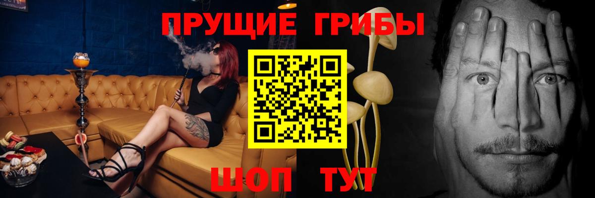 Псилоцибиновые грибы Psilocybine cubensis Сланцы