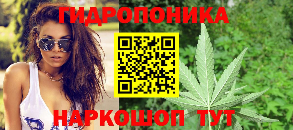 Шишки марихуана сатива Сланцы